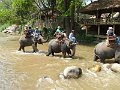 Chiang Mai P0226 Maetaman Elephant Camp